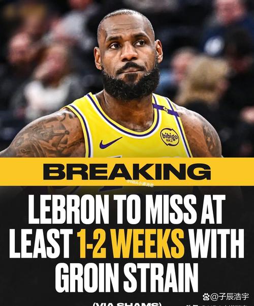 詹姆斯：我认为森林狼还是西决水准 要看迪林厄姆能否进步