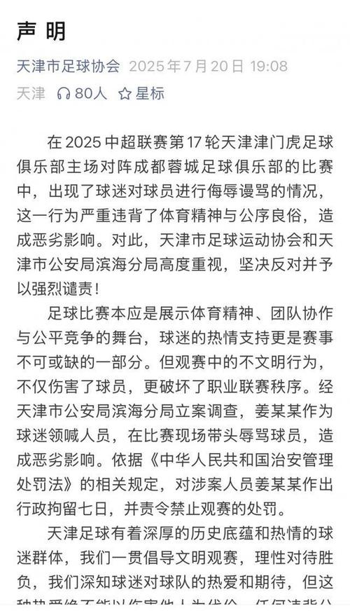 数据看中超|2025中超观赛人数10大比赛，大连英博独占9席遥遥领跑